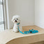 【予約】Basic color collar & handsfree leash