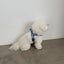 【予約】jelly bear harness
