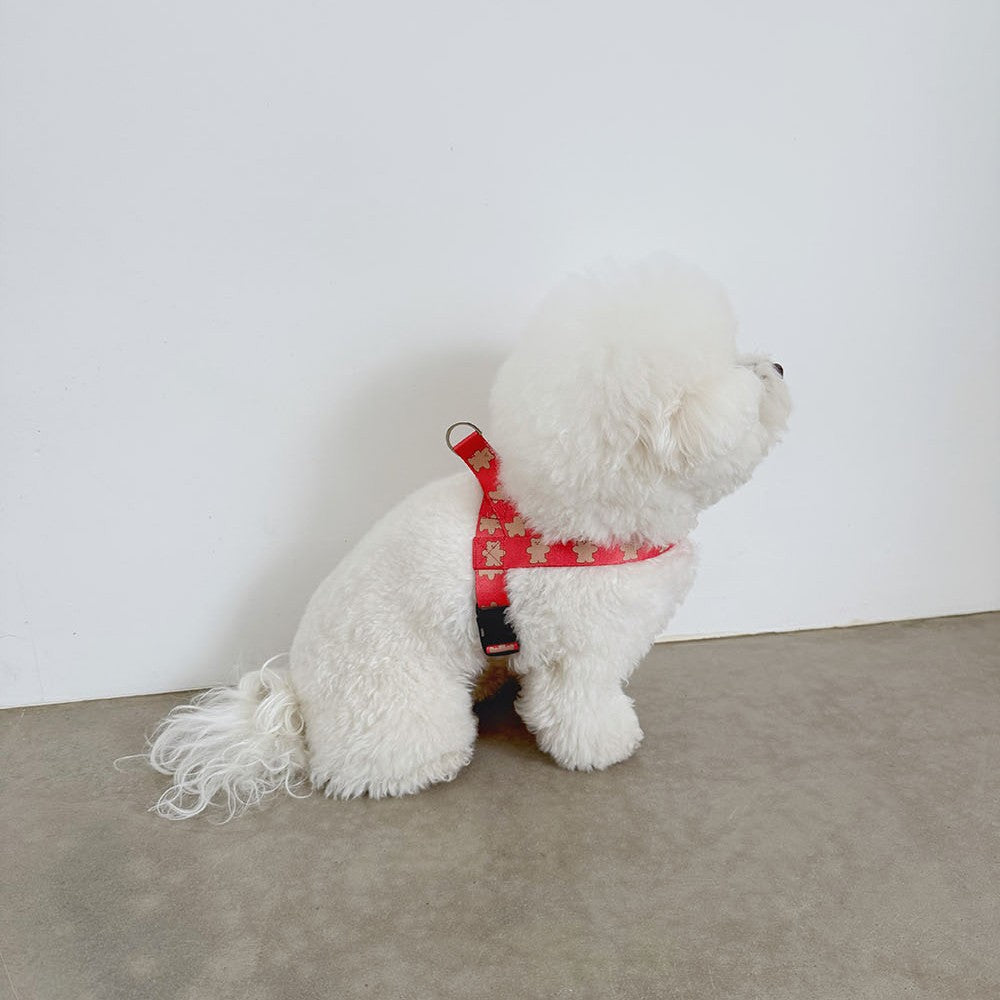 【予約】jelly bear harness