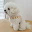 【予約】jelly bear harness