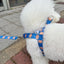 【予約】jelly bear harness