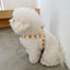 【予約】jelly bear harness