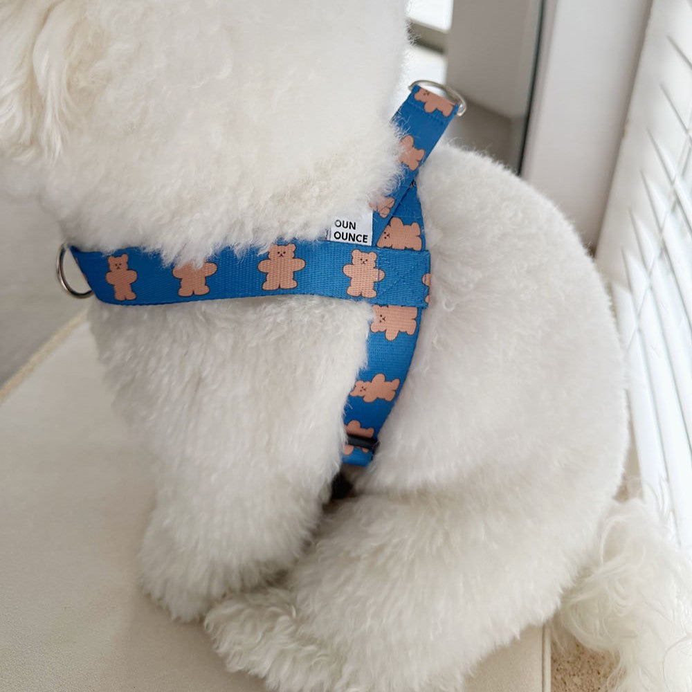 【予約】jelly bear harness