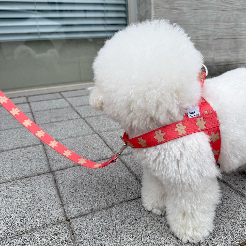【予約】jelly bear leash
