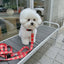 【予約】jelly bear collar