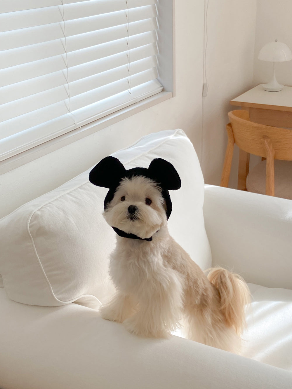 【20日予約〆切】Terry bear vest & hat