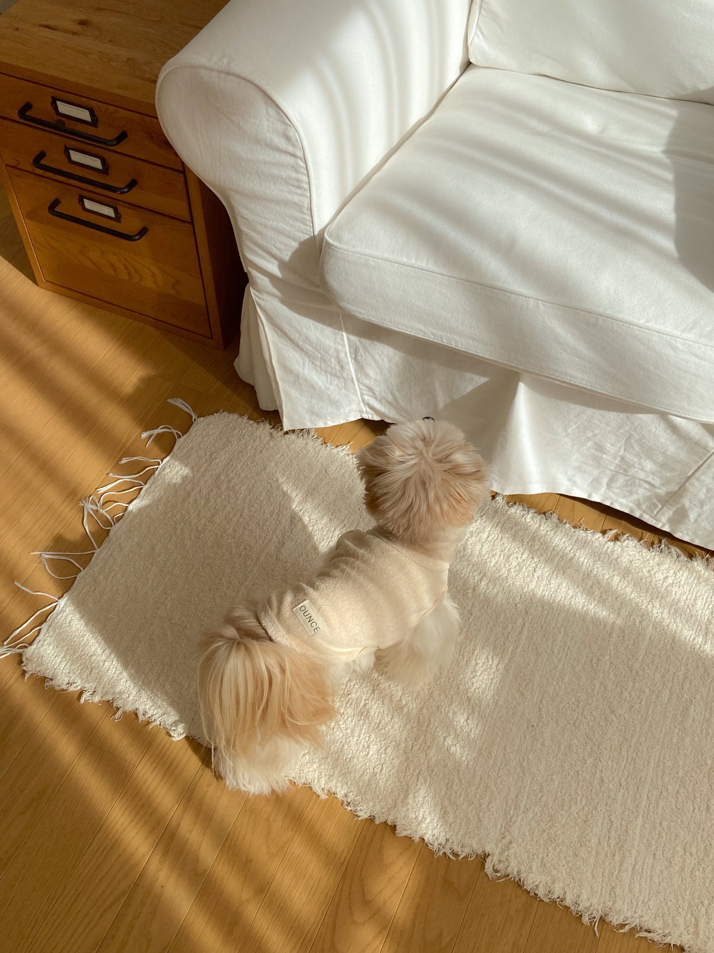 【20日予約〆切】Terry bear vest & hat