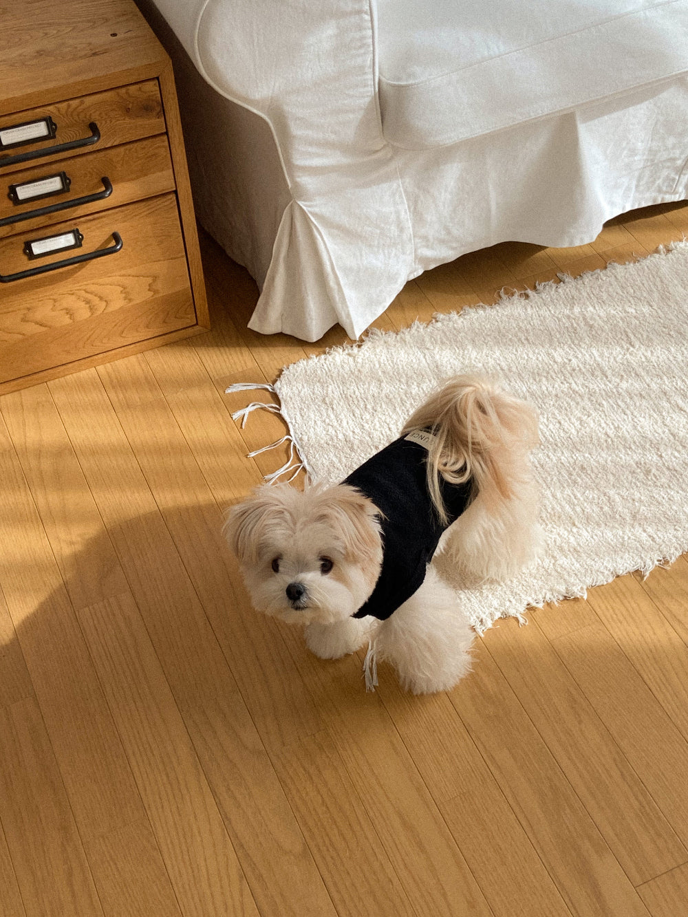 【20日予約〆切】Terry bear vest & hat