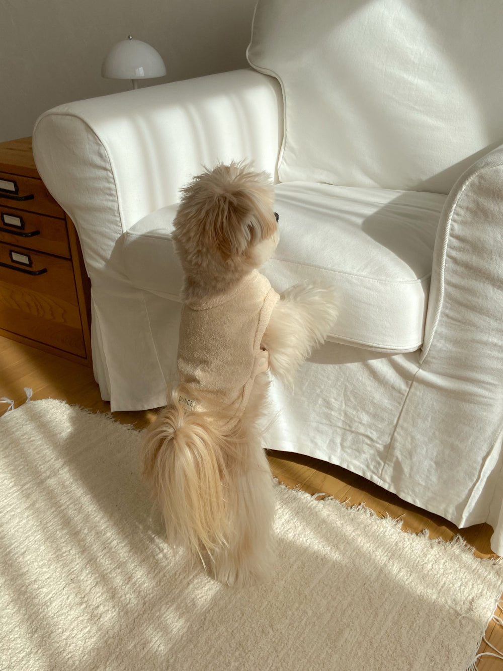 【20日予約〆切】Terry bear vest & hat