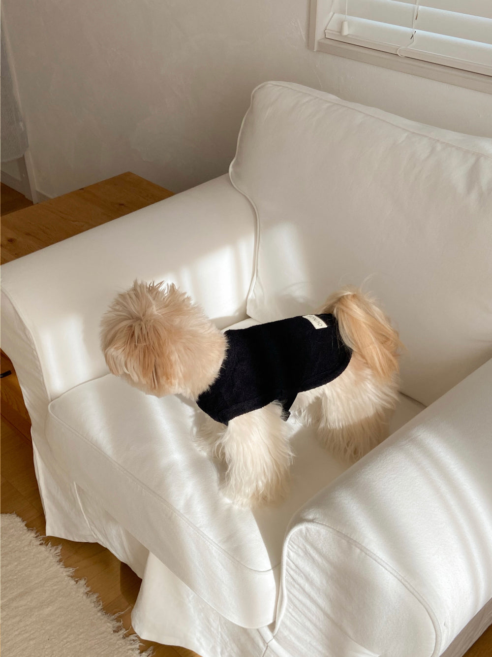 【20日予約〆切】Terry bear vest & hat