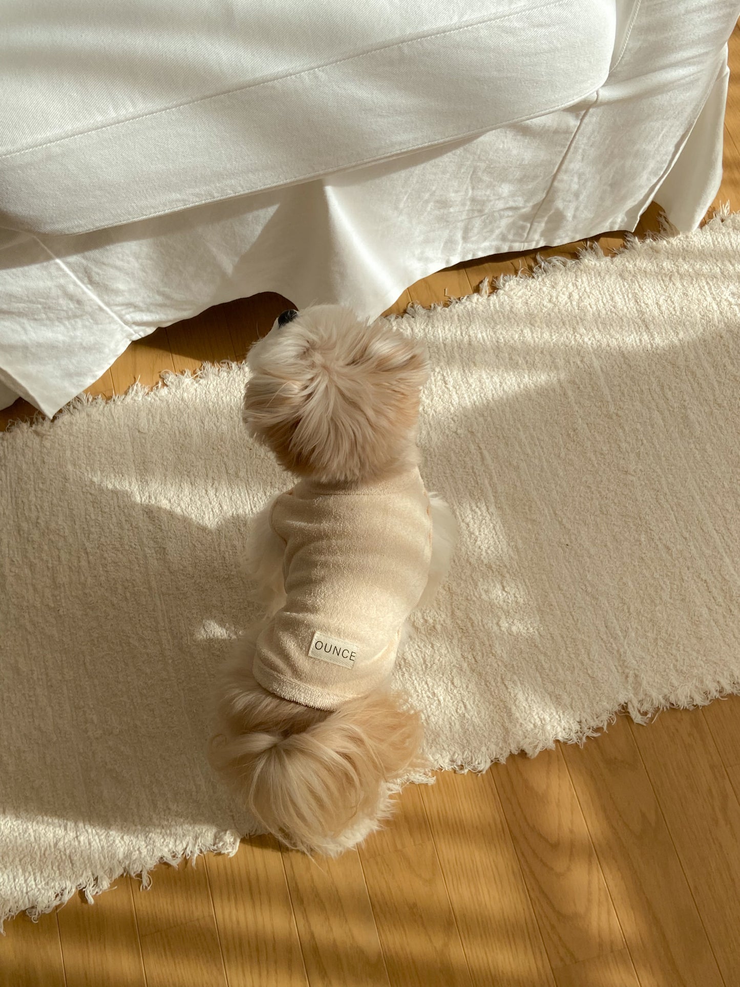 【20日予約〆切】Terry bear vest & hat