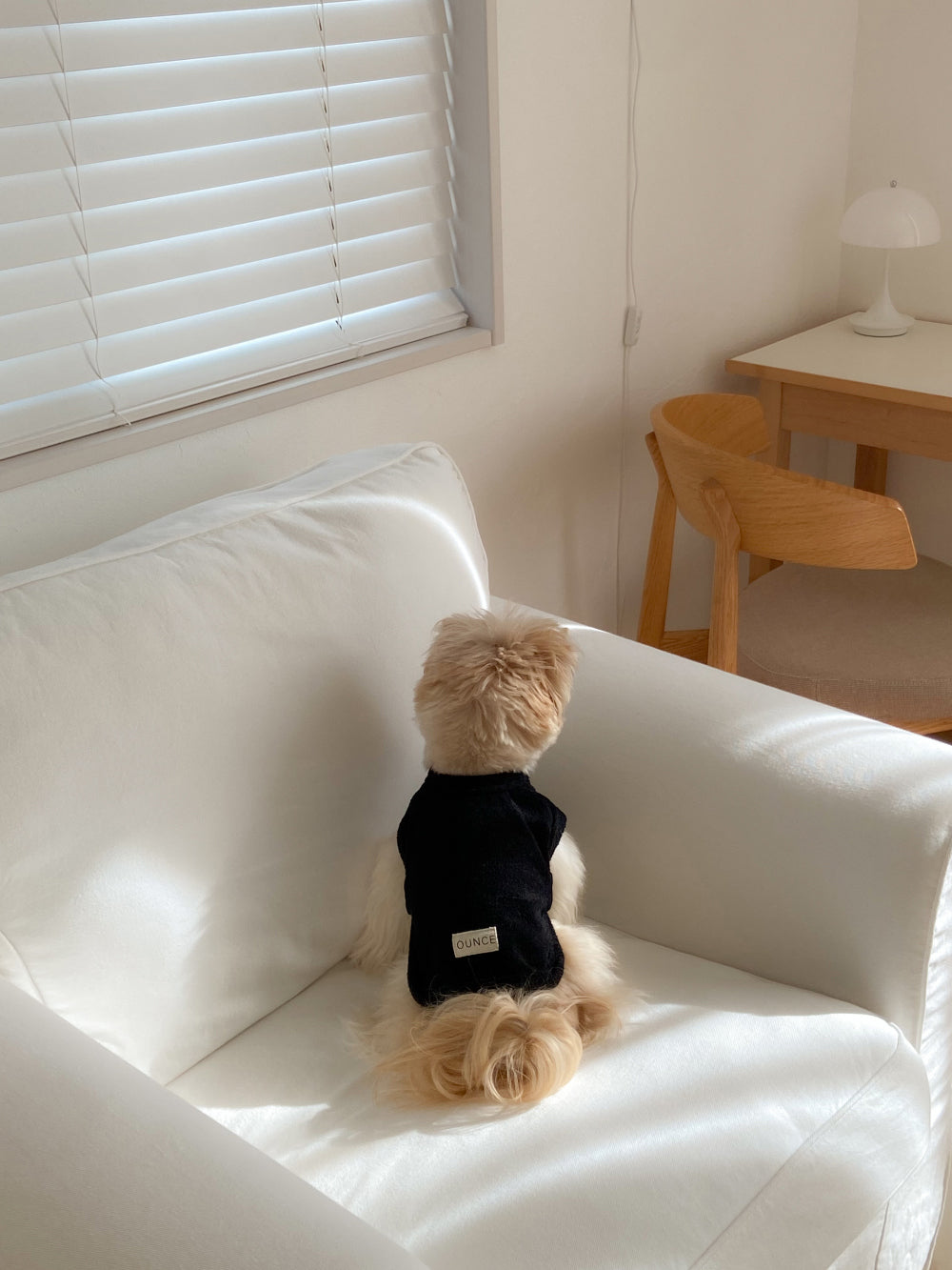 【20日予約〆切】Terry bear vest & hat