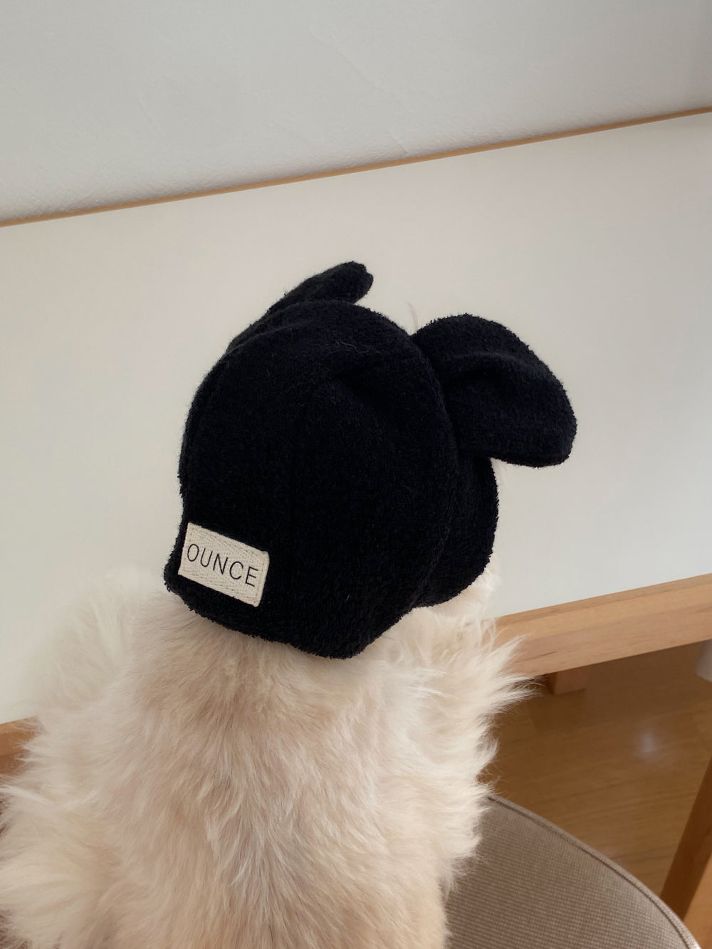 【20日予約〆切】Terry bear vest & hat