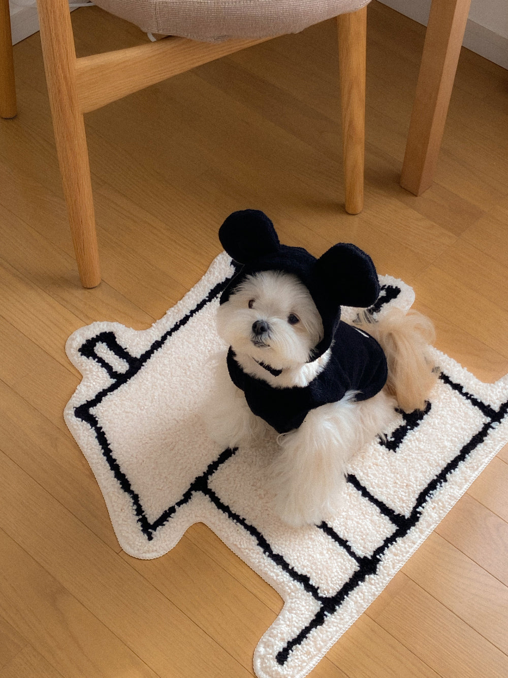 【20日予約〆切】Terry bear vest & hat