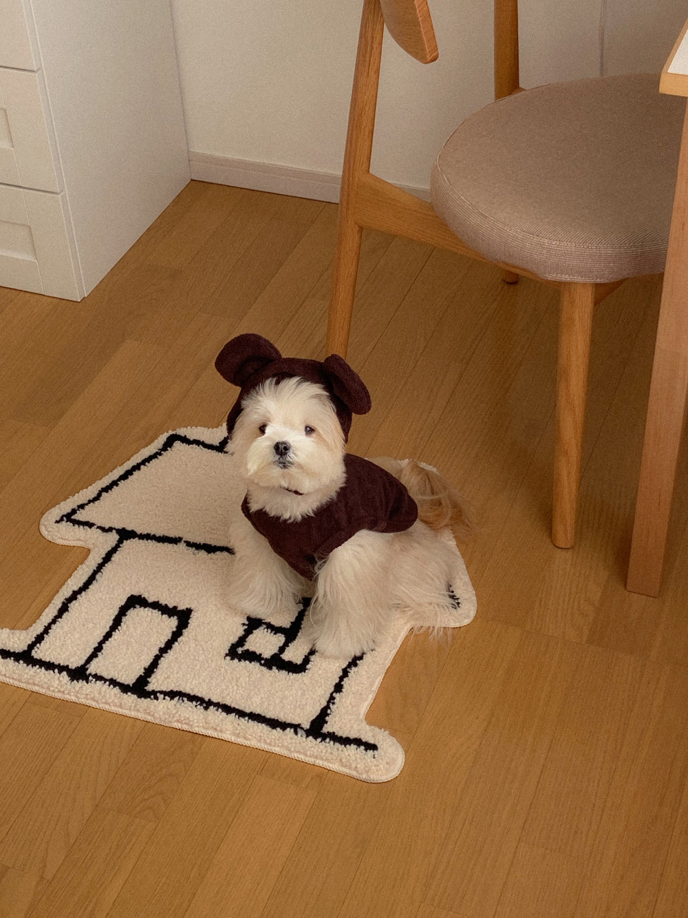 【20日予約〆切】Terry bear vest & hat