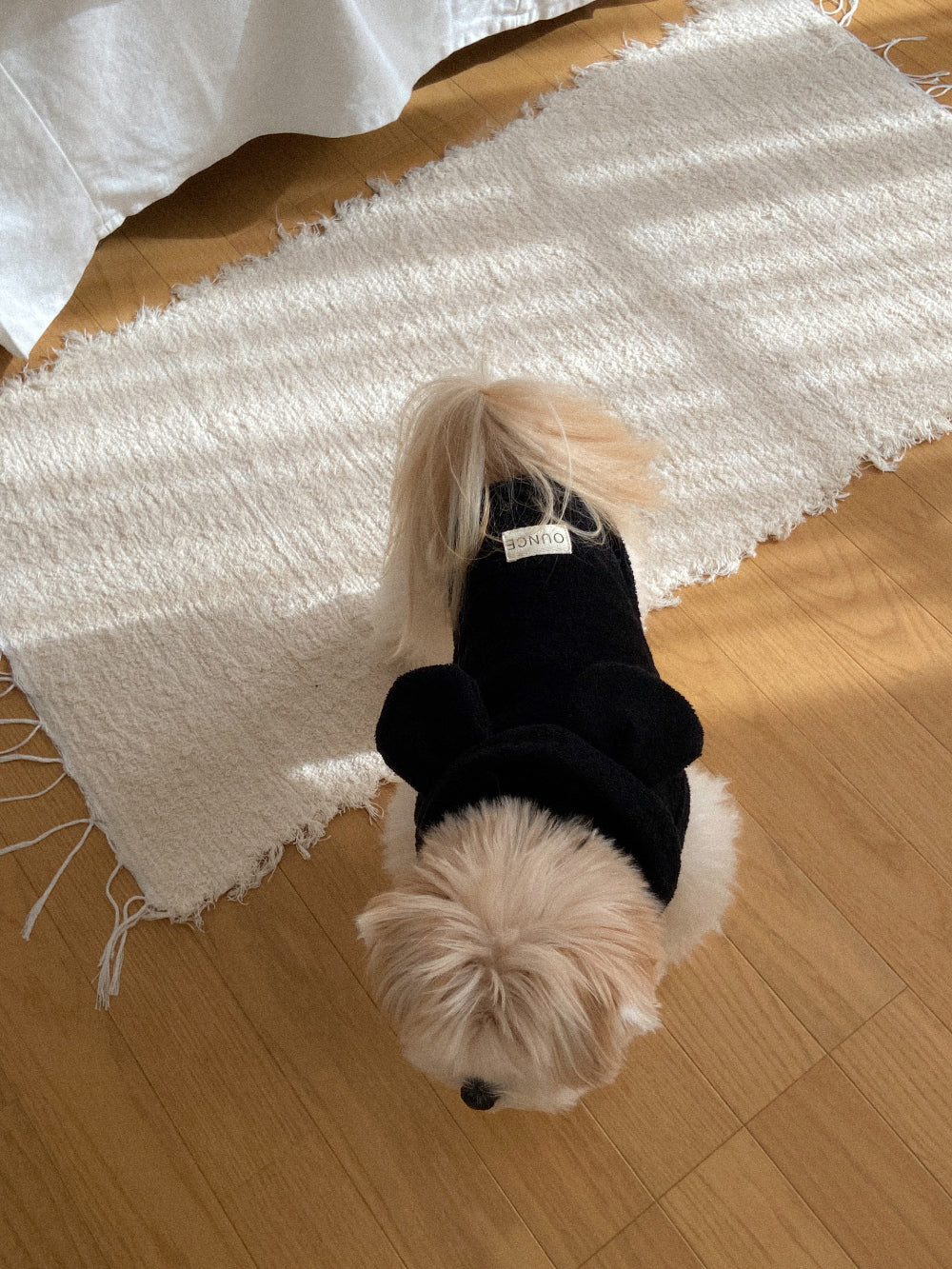 【20日予約〆切】Terry bear vest & hat