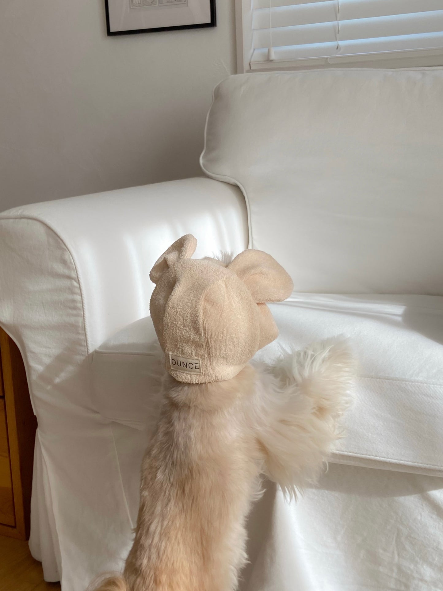 【20日予約〆切】Terry bear vest & hat