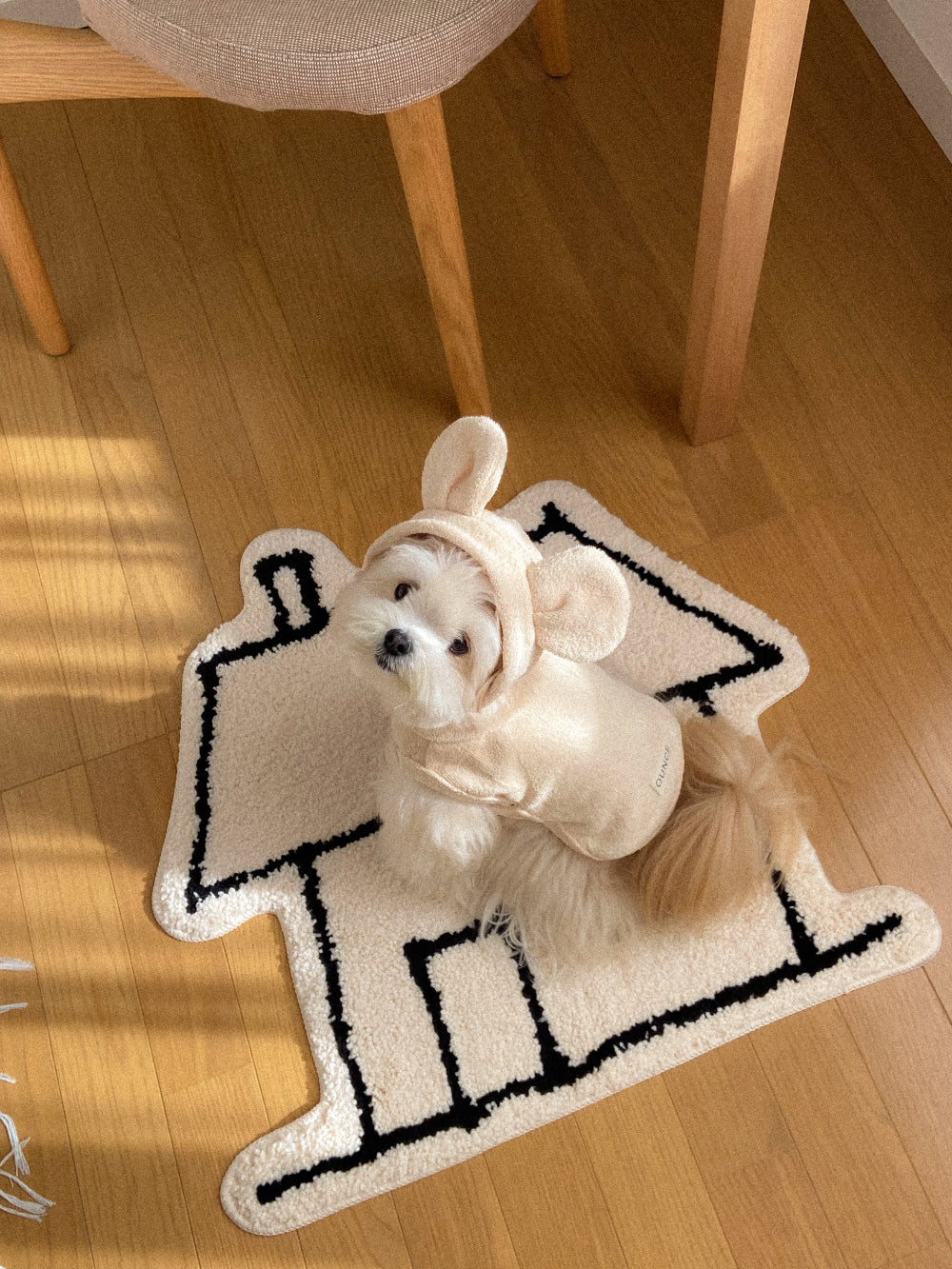 【20日予約〆切】Terry bear vest & hat