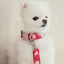 【予約】heart bongbong collar