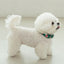 【予約】heart bongbong collar