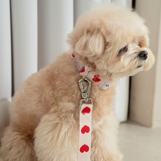 【予約】heart bongbong collar