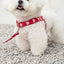 【予約】heart bongbong harness