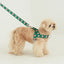 【予約】heart bongbong harness