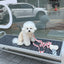 【予約】heart bongbong leash
