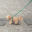 【予約】heart bongbong leash