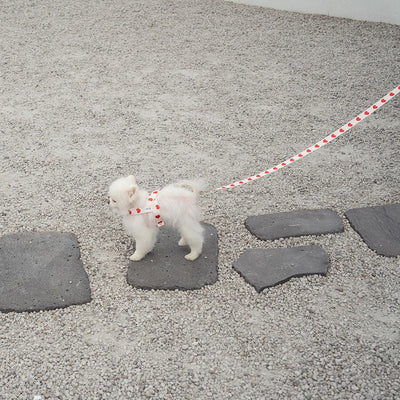 【予約】heart bongbong harness