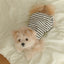 【予約】STRIPE BUNNY HAT ALL IN ONE