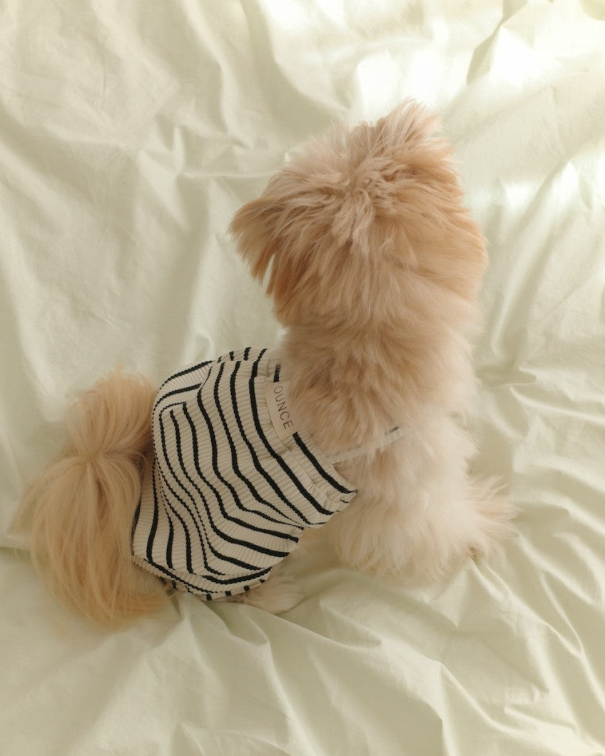 【予約】STRIPE BUNNY HAT ALL IN ONE