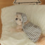 【予約】STRIPE BUNNY HAT ALL IN ONE