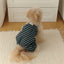 【予約】STRIPE BUNNY HAT ALL IN ONE