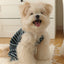 【予約】STRIPE BUNNY HAT ALL IN ONE