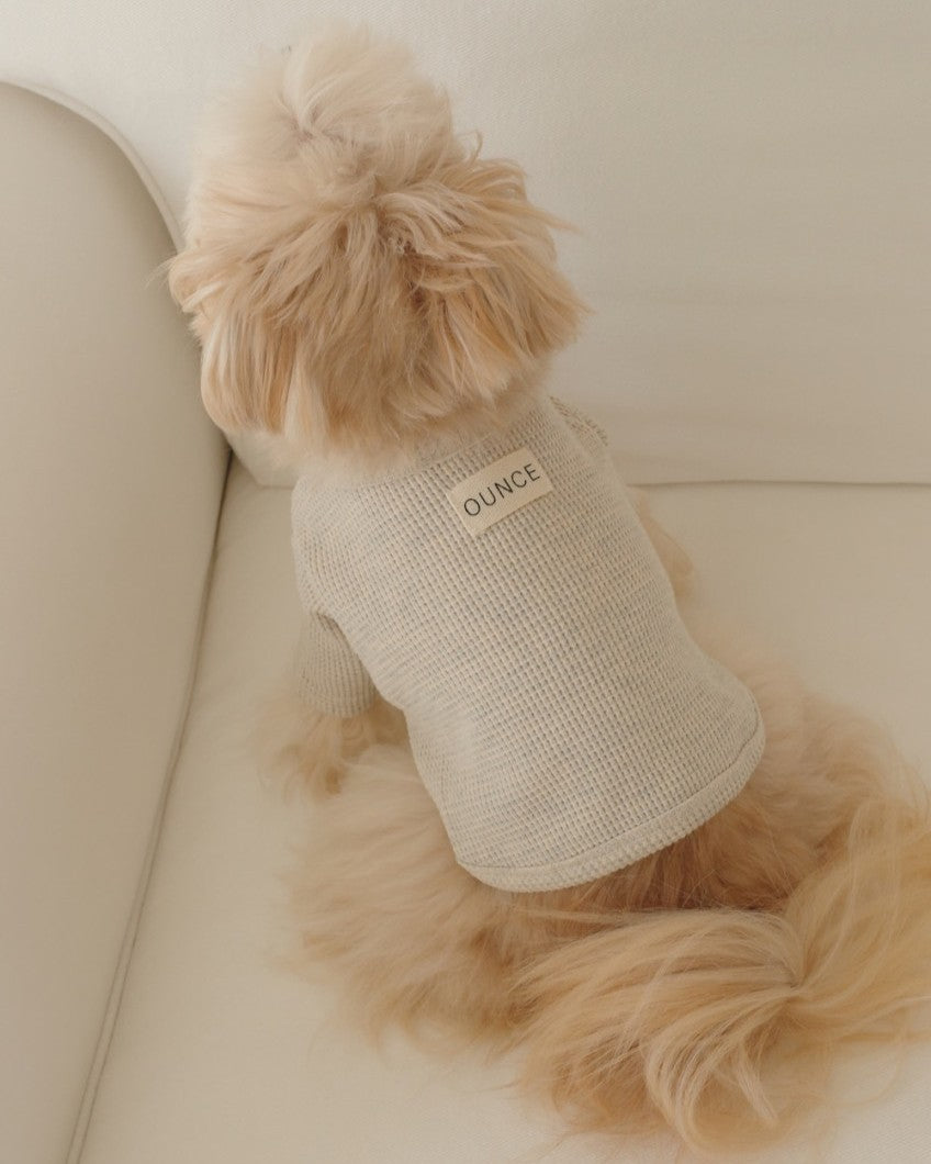 【予約】Waffle T shirts