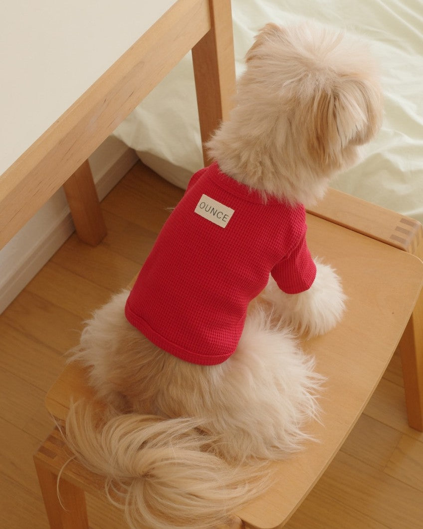 【予約】Waffle T shirts
