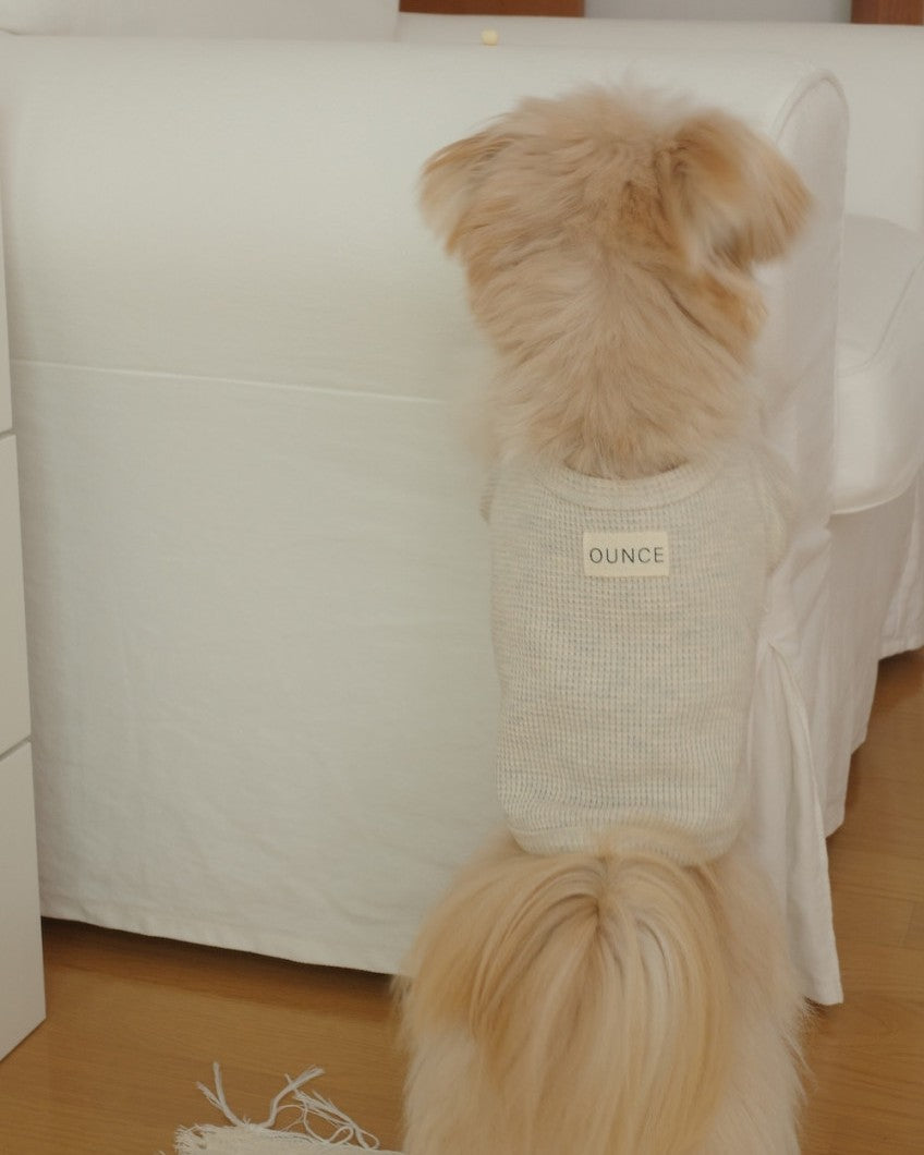 【予約】Waffle T shirts