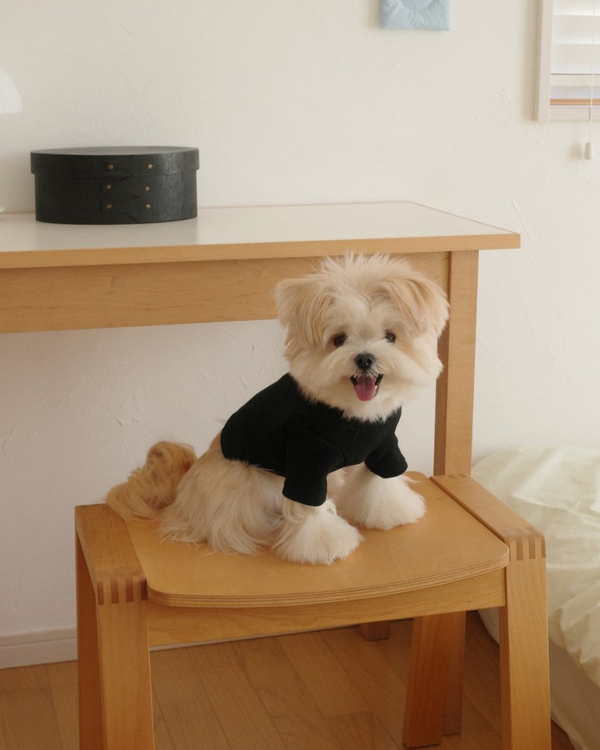 【予約】Waffle T shirts
