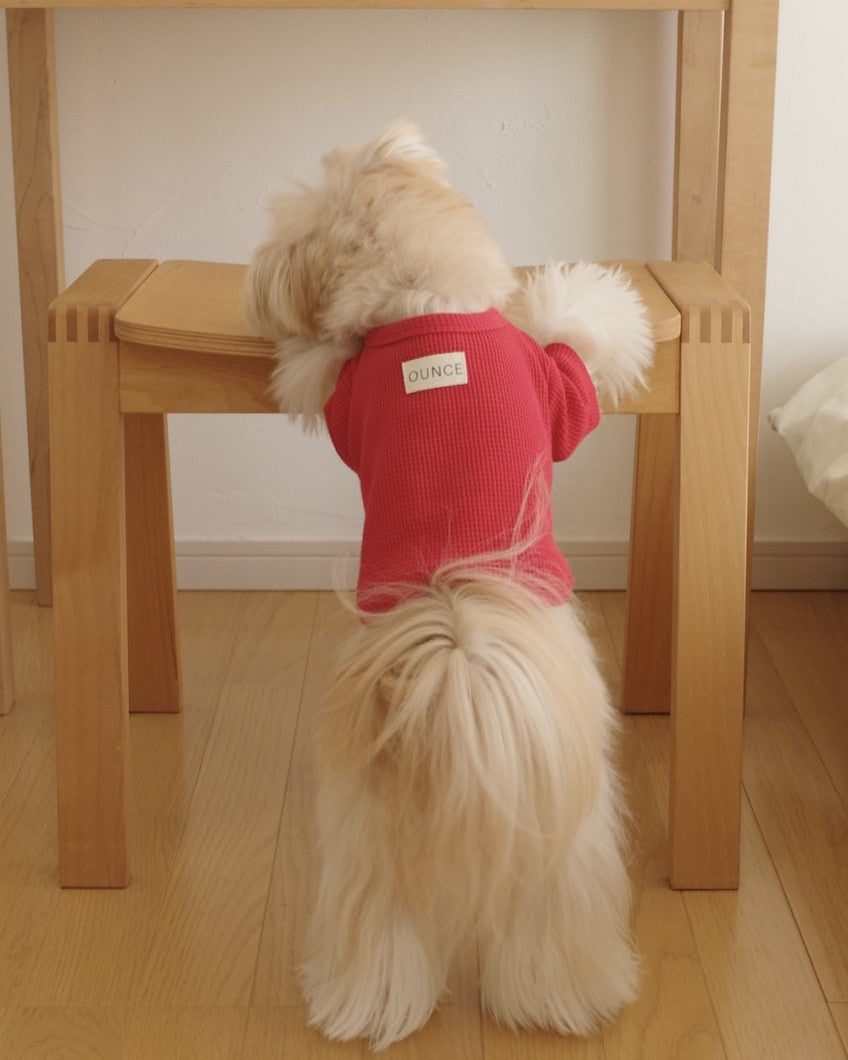 【予約】Waffle T shirts
