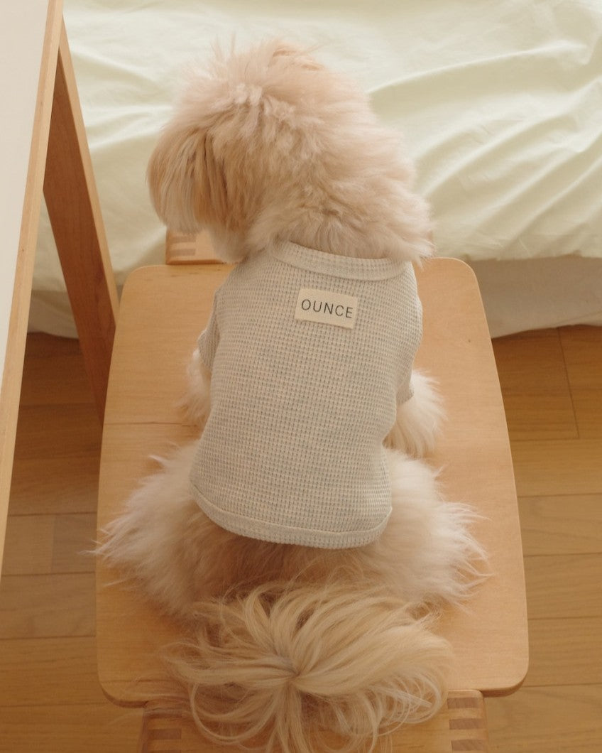 【予約】Waffle T shirts