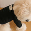 【予約】Waffle T shirts