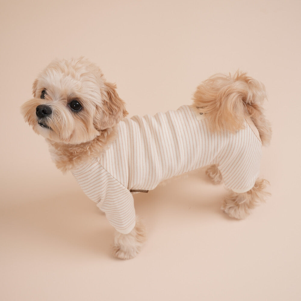 【予約】Organic All-In-One Suit