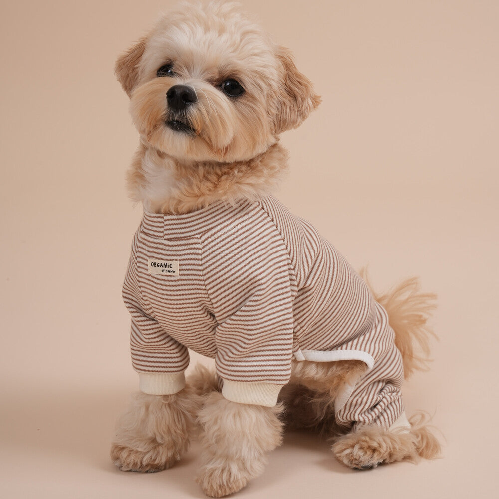 【予約】Organic All-In-One Suit