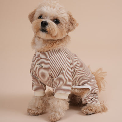 【予約】Organic All-In-One Suit