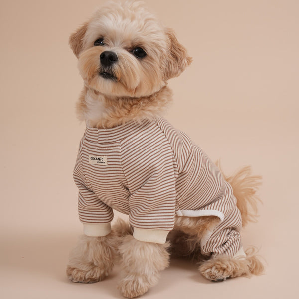 【予約】Organic All-In-One Suit