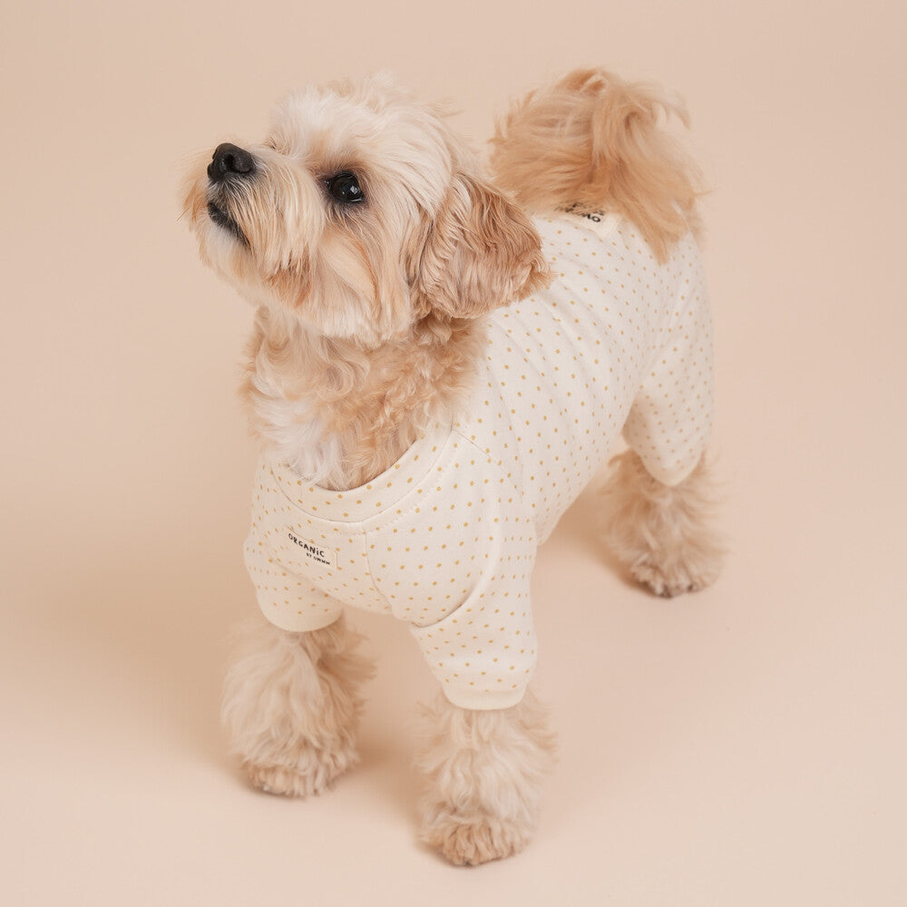 【予約】Organic All-In-One Suit