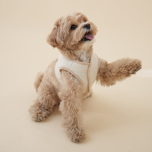 【予約】Organic Harness（ネーム刺繍可）