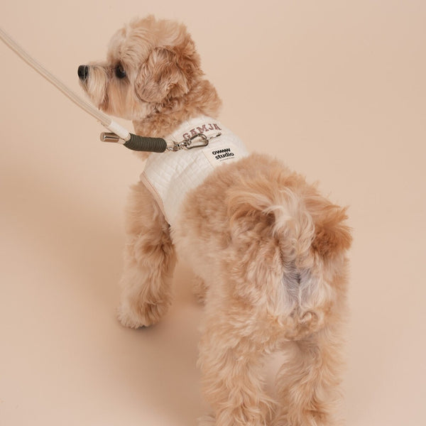 【予約】Organic Harness（ネーム刺繍可）