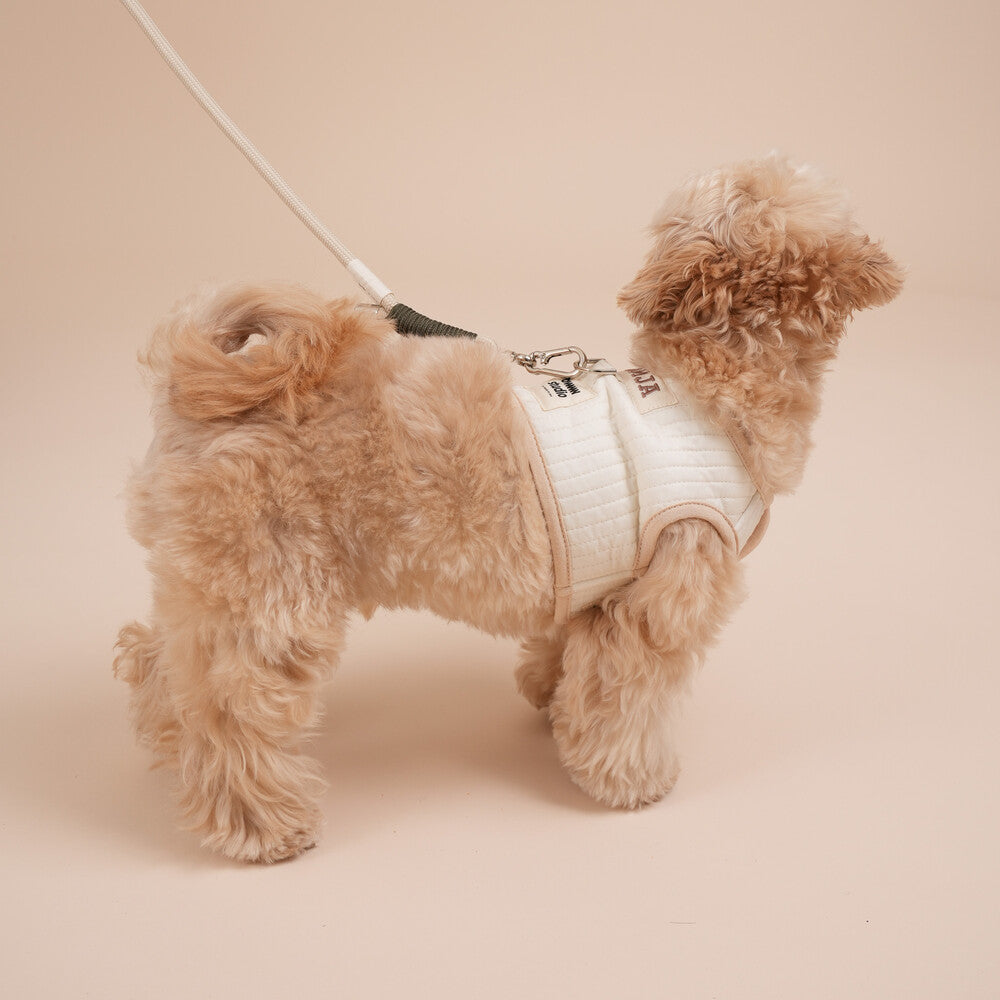 【予約】Organic Harness（ネーム刺繍可）